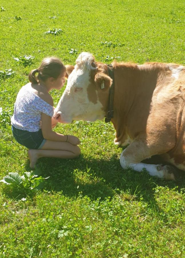 Ferienwohnungen Marchanger Niederau Bagian luar foto