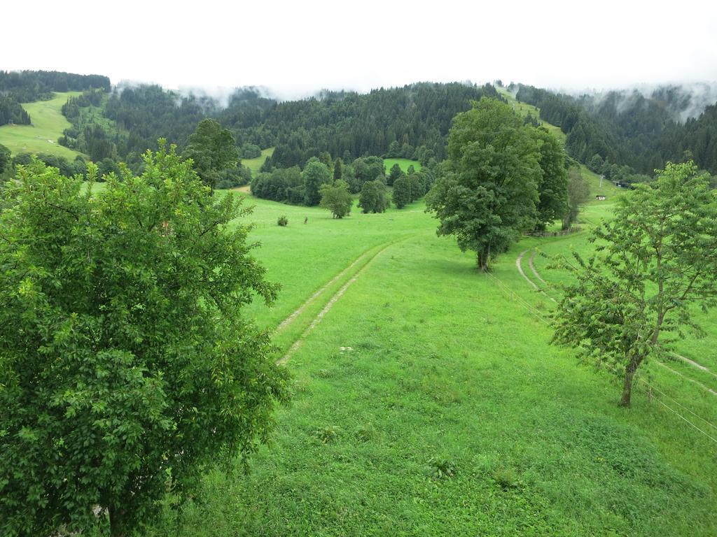 Ferienwohnungen Marchanger Niederau Ruang foto